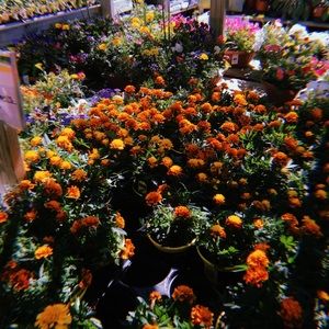 Meet your Posher, Kendra